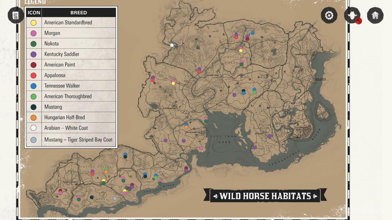 Карта расположения лошадей в игре RDR 2