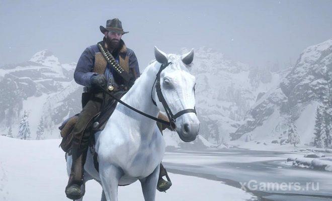 Испытания опытный наездник в игре Red Dead Redemption 2