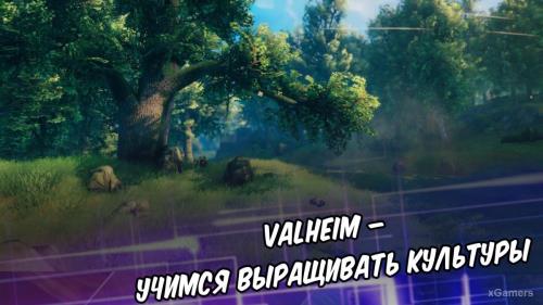 Valheim – учимся выращивать культуры | Лучшая еда для ранней игры | Поиск семян | Культиватор