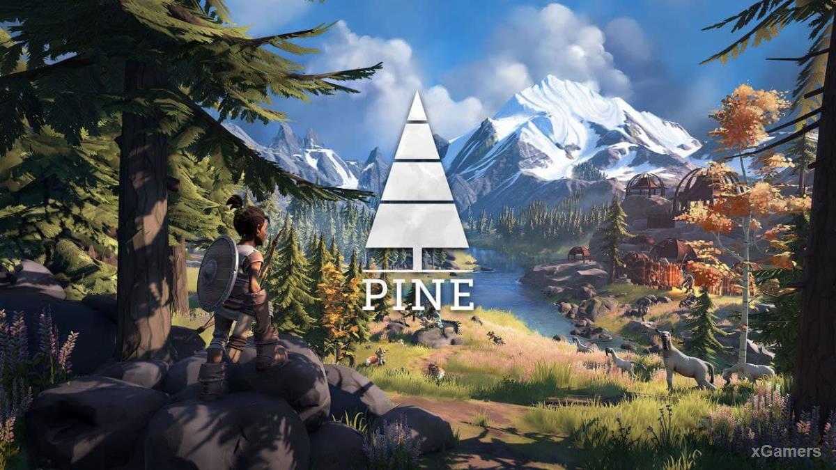 Раздача – Pine