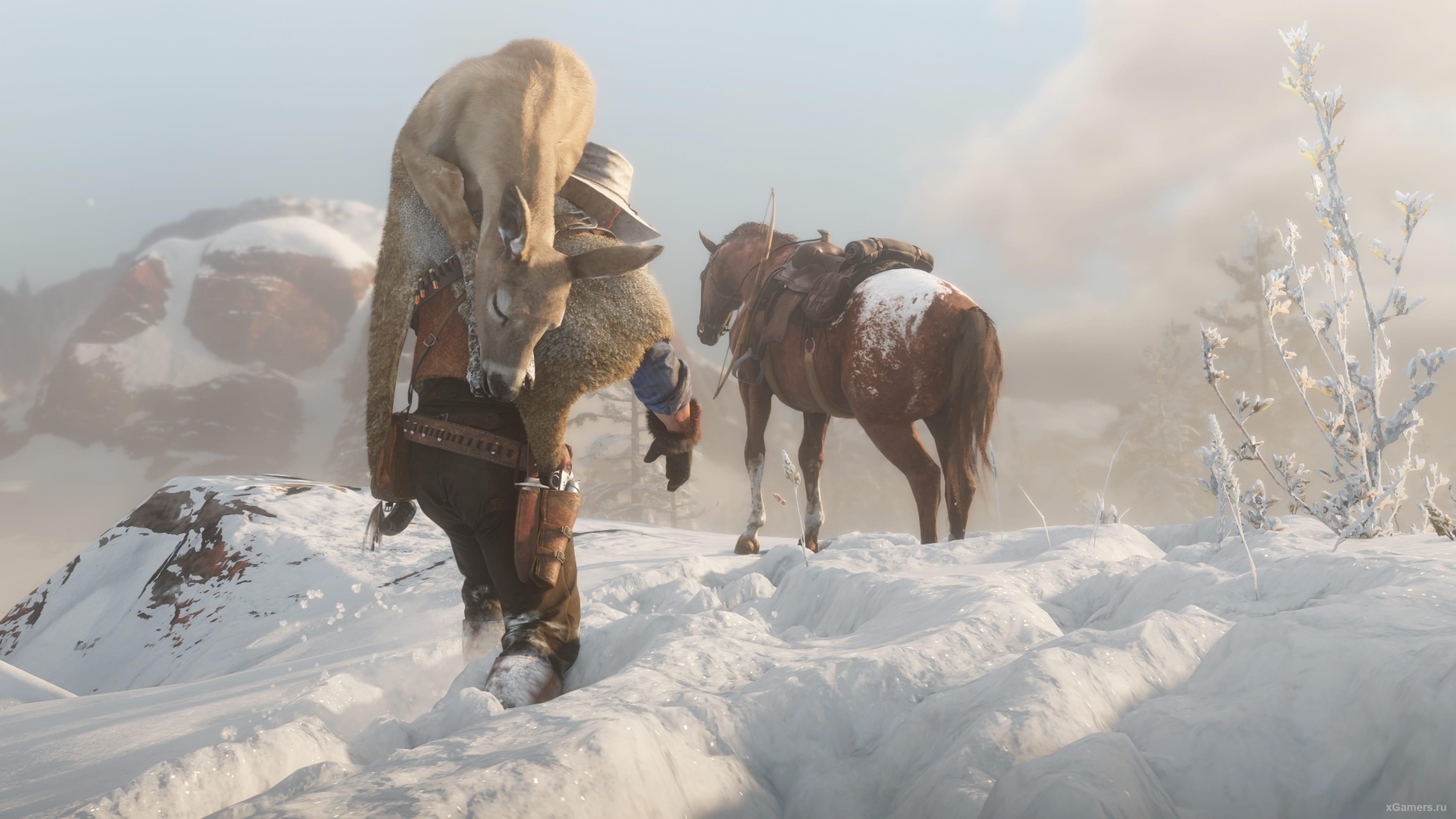 Где взять лук и стрелы в игре RDR 2