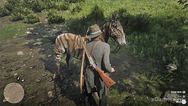 Зебра в игре RDR 2, заарканить можно только с помощью лассо