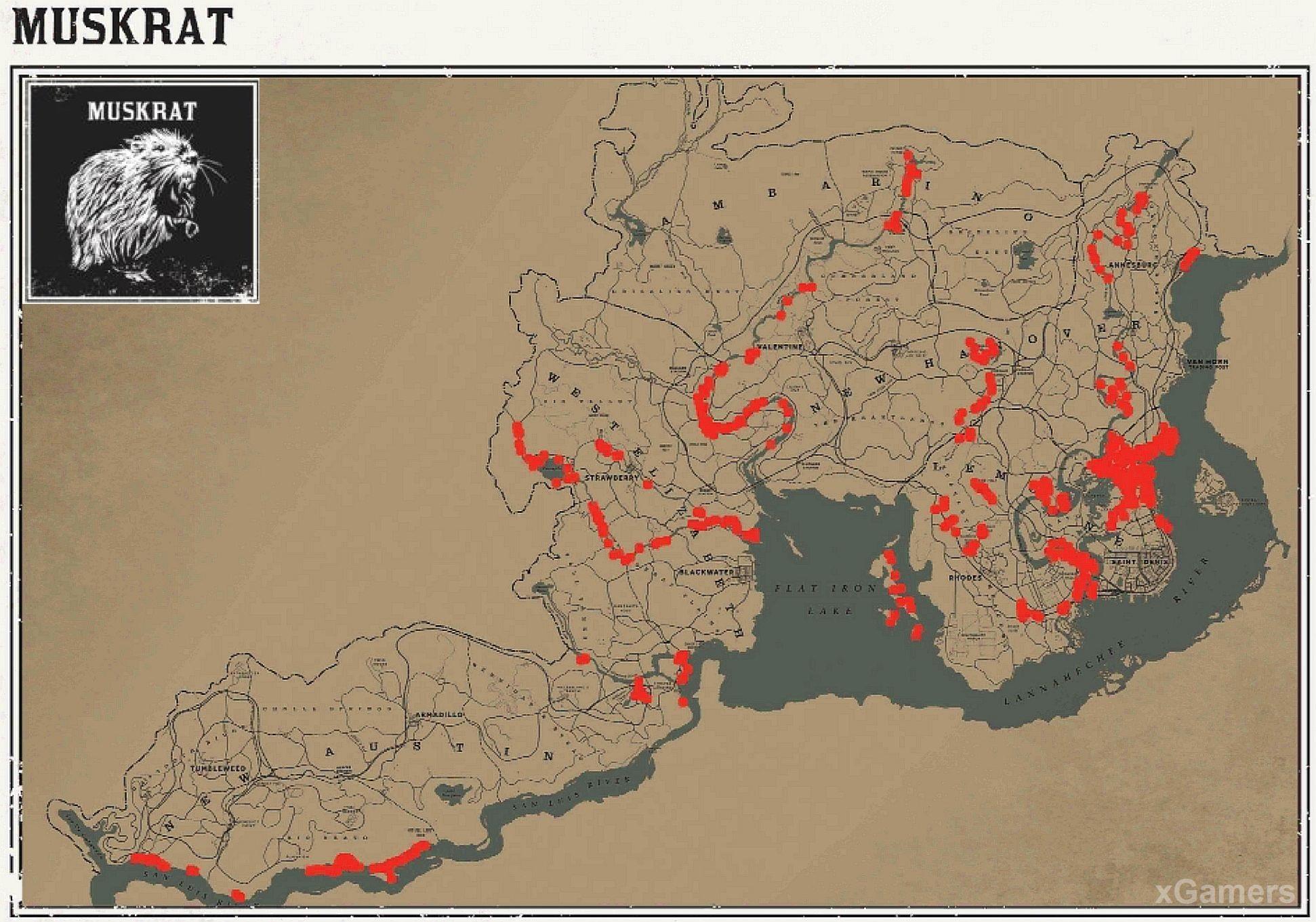 Места обитания ондатр в игре RDR 2