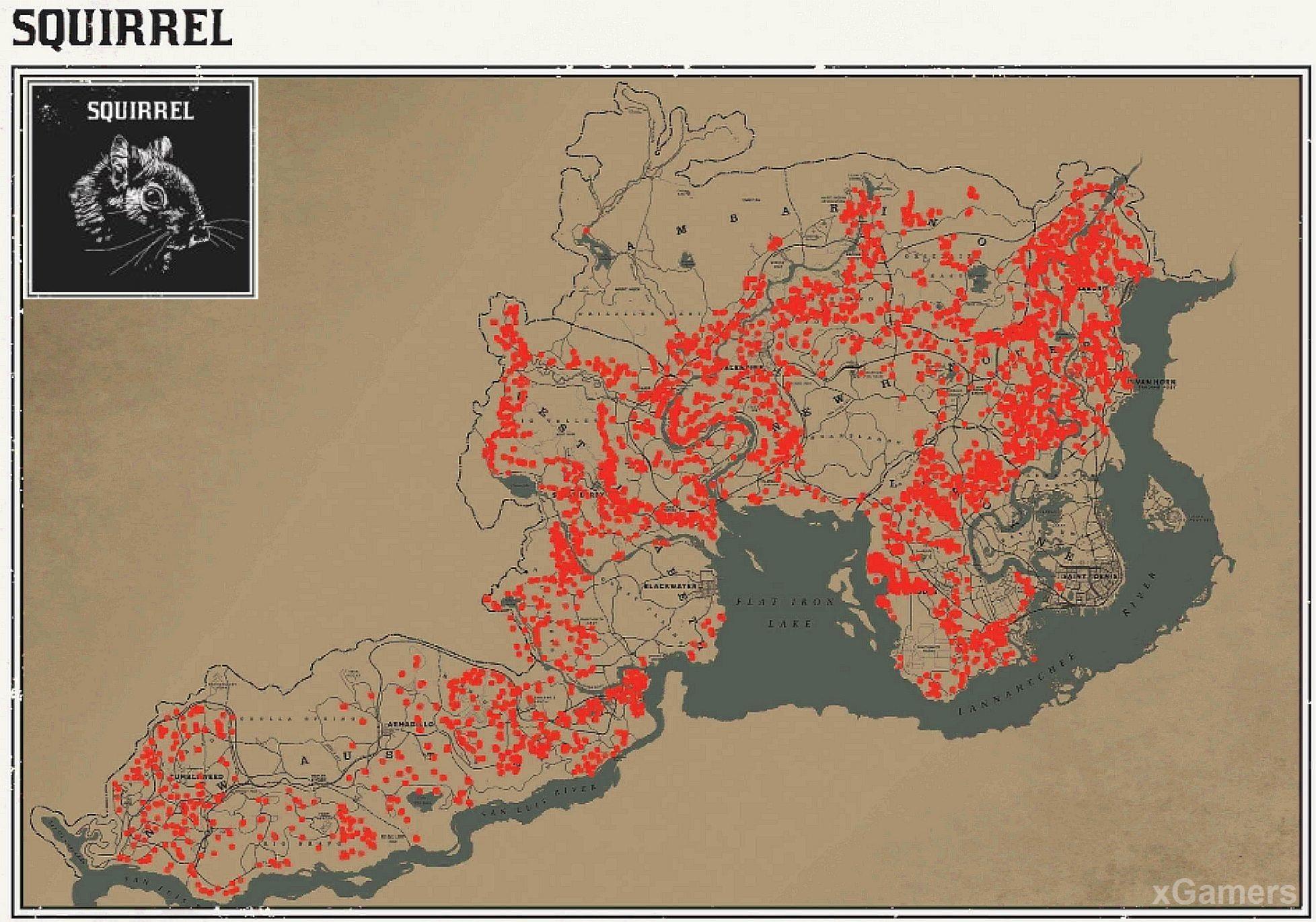 Места обитания белок в игре RDR 2.