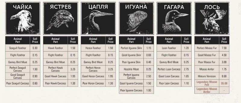 Erotske price animal.