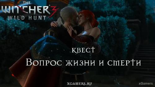 Ведьмак 3: Задание «Вопрос жизни и смерти» | xGamers