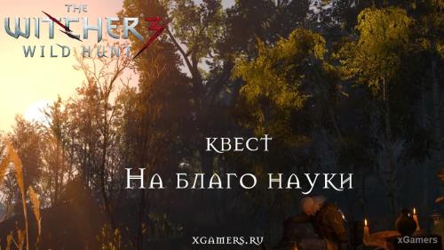 Ведьмак 3: задание «На благо науки» | Выбор и последствия Кейры Мец | xGamers