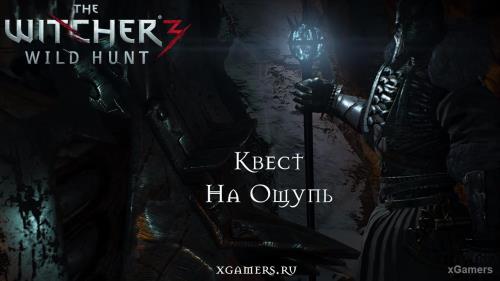 Ведьмак 3: Квест «На Ощупь» | Прохождение | xGamers