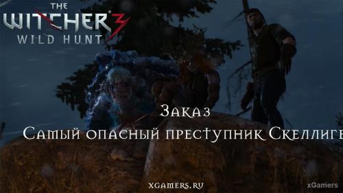 Ведьмак 3 - Заказ: «Самый опасный преступник Скеллиге» | xGamers