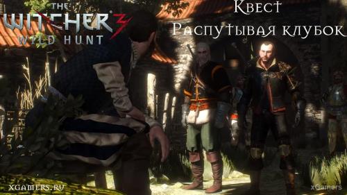 The Witcher 3: Задание «Распутывая клубок» | Виенна | Хаммонд | Финальный выбор