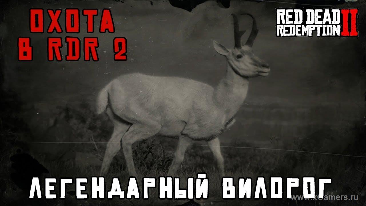 Легендарный вилорог в игре Red dead redemption 2