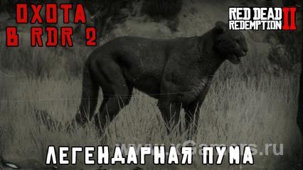 Легендарные животные - Red dead redemption 2: места обитания и как победить