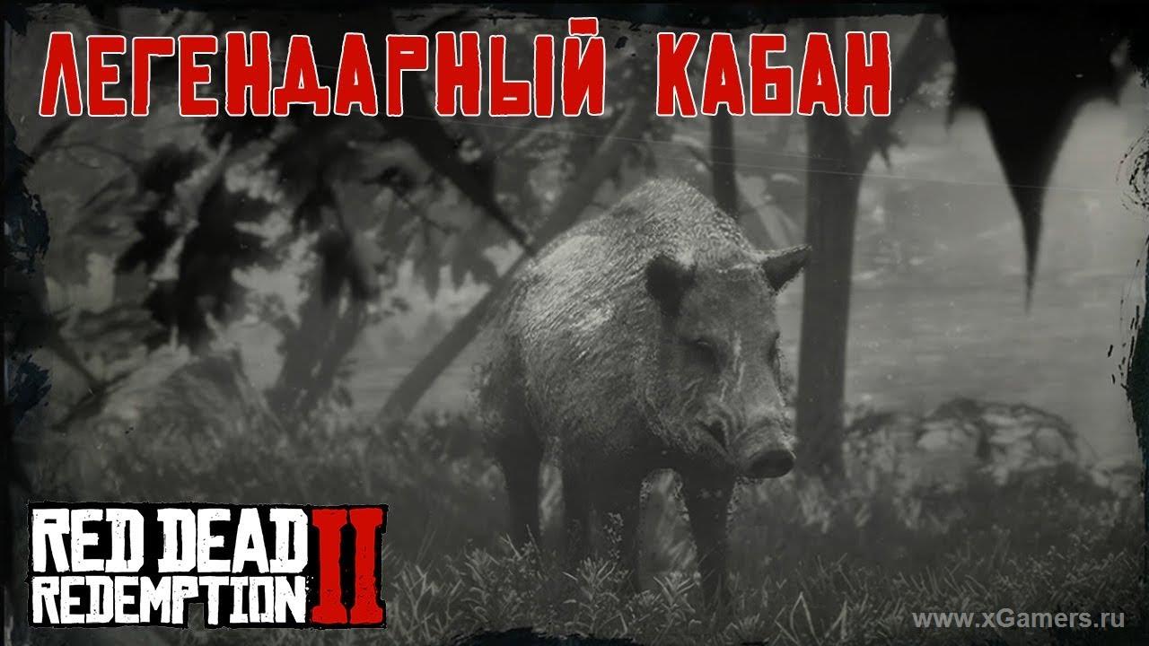 Легендарный кабан в игре Red dead redemption 2