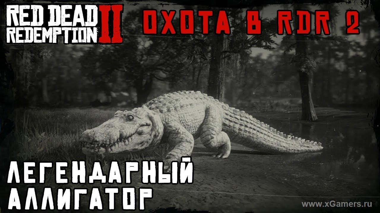 Легендарный аллигатор -альбинос в игре Red dead redemption 2