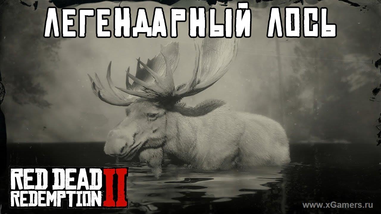 Легендарный лось в игре Red dead redemption 2