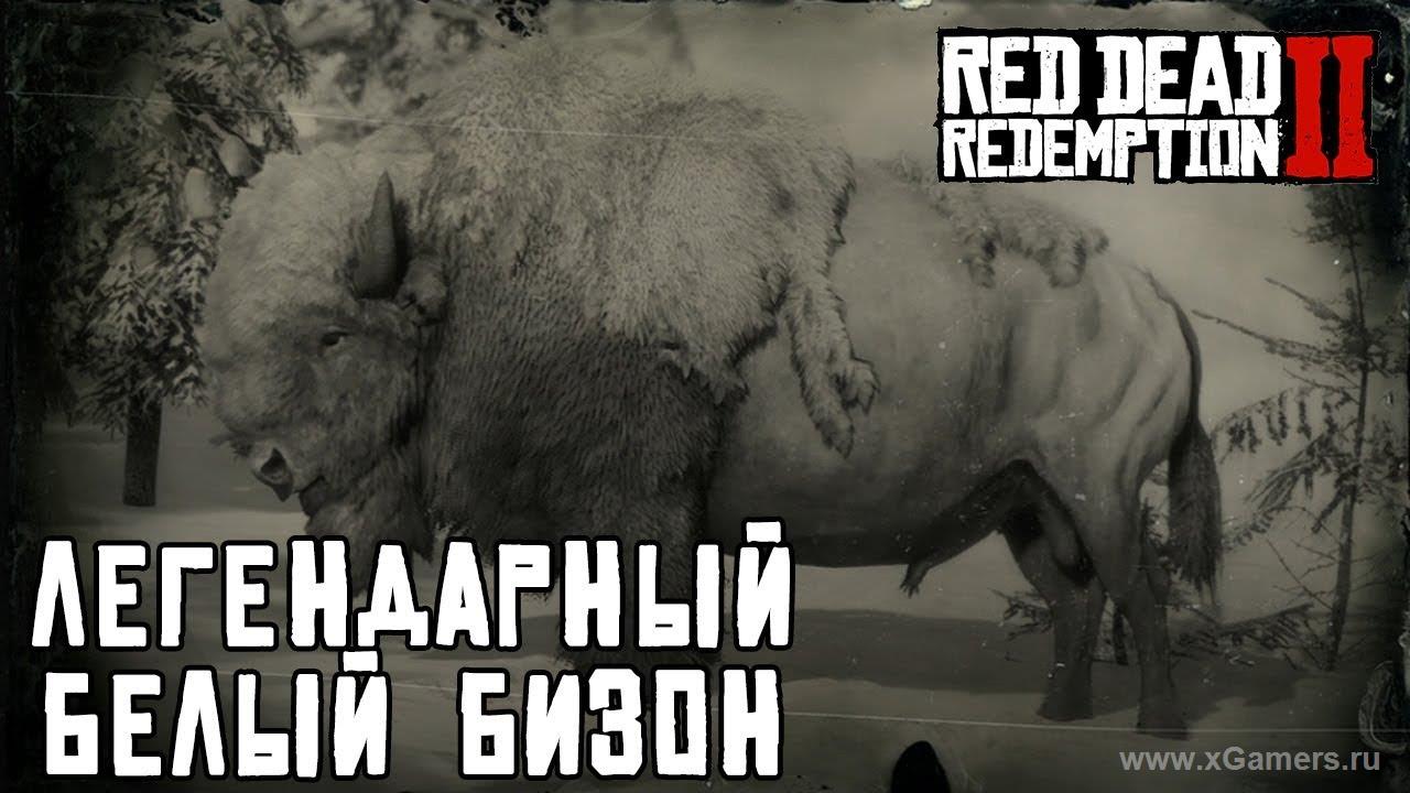 Легендарный бизон в игре Red dead redemption 2