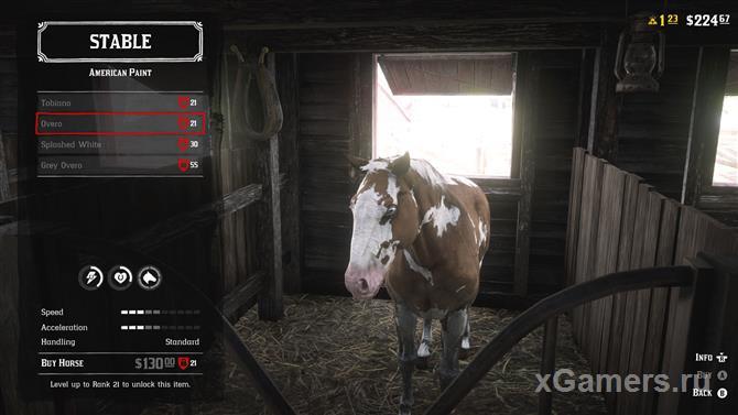 Американ Пэйнт - порода лошадей в RDR 2