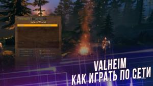 Valheim – как играть по сети: настройка выделенного или локального сервера