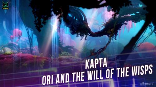 Ori and the Will of the Wisps Карта | Упрощение исследования